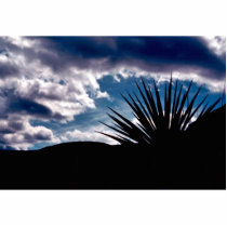 Torry yucca photo sculptures by animalpark Torry yucca photo sculptures