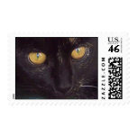 Tortie Face postage