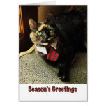 Tortie Season's Greeting Card, Starring Binga
