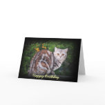 Tortie Silver tabby Birthday card