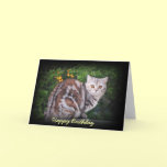 Tortie Silver tabby Birthday card