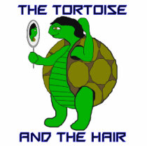 Tortoise and the Hair Photo Sculpture photo sculptures by pharrisart Tortoise and the Hair Photo Sculpture photo sculptures