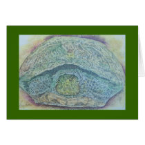 tortoise cards by artbynina tortoise cards
