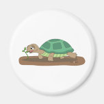 Tortoise eating fridge magnets