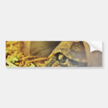 Tortoise hiding in shell 2 bumper stickers