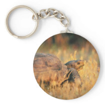 Tortoise in Grass Keychain