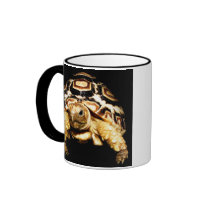 tortoise mugs by freya18801 tortoise mugs