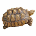 Tortoise - Ornament photo sculptures