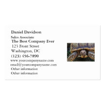 Tortoise Photo Business Card Template