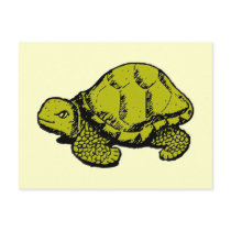 Tortoise postcards by lulu22470 Tortoise postcards
