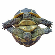 Tortoise Round Ornament photo sculptures