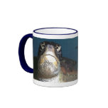 Tortoise 's life mug