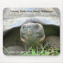 Tortoise, Santa Cruz Island, Galapagos mousepads by lshickzazzle Tortoise, Santa Cruz Island, Galapagos mousepads