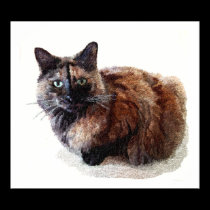 Tortoise Shell Cat Posters and Prints