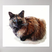 Tortoise Shell Cat Posters and Prints