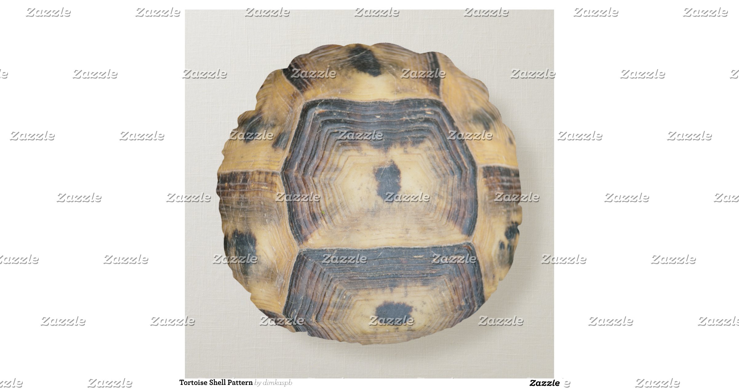turtle shell pillow