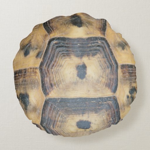 turtle shell pillow