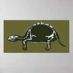 tortoise skeleton posters