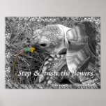 Tortoise - Stop & taste the flowers Print