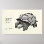 tortoise trivia print