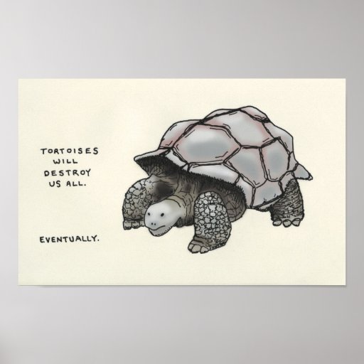 tortoise trivia print
