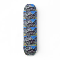 Tortoise turtle art skate decks
