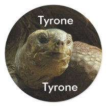 tortoise, Tyrone, Tyrone stickers by KatAnnette tortoise, Tyrone, Tyrone stickers