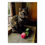 Tortoiseshell Cat and Rose Greeting Card