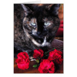 Brindle Tortoiseshell Cat