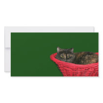 Tortoiseshell Christmas photo cards