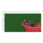 Tortoiseshell Christmas Picture Card