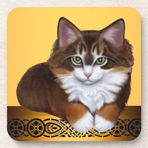 Tortoiseshell Maine Coon Kitten Coasters | Zazzle