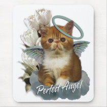 Tortoiseshell Persian Angel mousepads