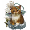 Tortoiseshell Persian Angel t-shirts