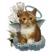 Tortoiseshell Persian Angel t-shirts by friskybiz Tortoiseshell Persian Angel t-shirts