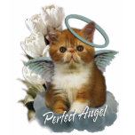 Tortoiseshell Persian Angel Tee Shirts