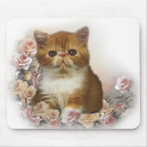 Tortoiseshell Persian portrait mousepads
