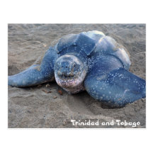 Tortuga de Leatherback en Trinidad and Tobago Postal