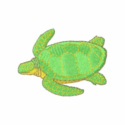 Tortuga de mar polo Tortuga de mar polo