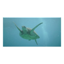 Tortuga de mar en hábitat natural tarjeta personal con foto