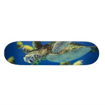 Tortuga de mar verde monopatines