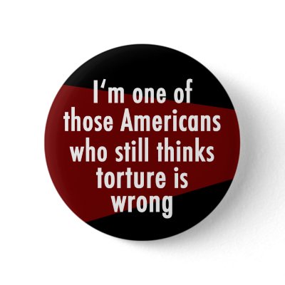 Torture is Still Wrong Pins by irregulargoods