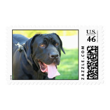 Tosa Inu Postage