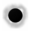 Total eclipse t-shirts