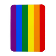 Totally Gay Pride Flag Vinyl Magnets