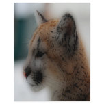 'Totem Cougar Cub' Custom Flyer