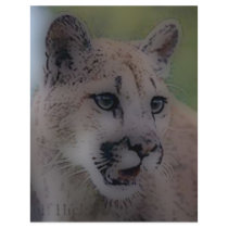 'Totem Cougar on the Hunt' Flyer