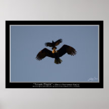 TOTEM FLIGHT ~ Photo Poster