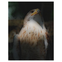 'Totem Hawk' Flyers