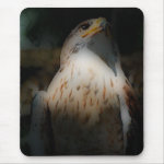'Totem Hawk' mousepad